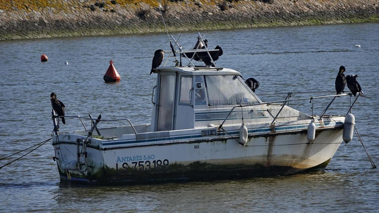 Emplacement Ideal 200M De La Plage Saint-Jean-de-Monts Exteriör bild